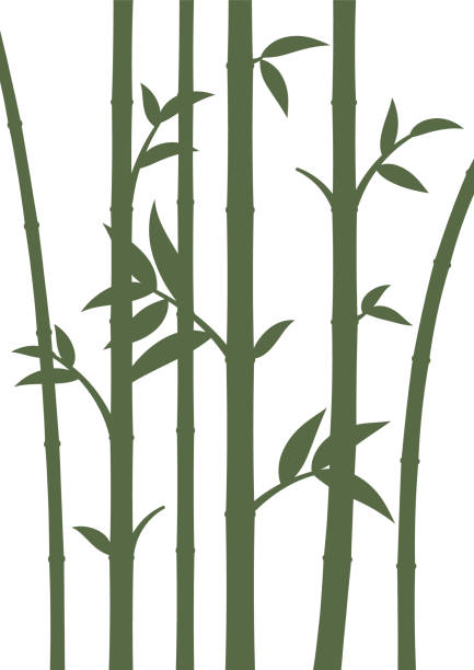 Background with bamboo stems. Home wall decor in minimalist style. Poster for living room. Vector illustration. vector art illustration