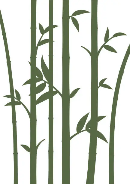 Vector illustration of Background with bamboo stems. Home wall decor in minimalist style. Poster for living room. Vector illustration.