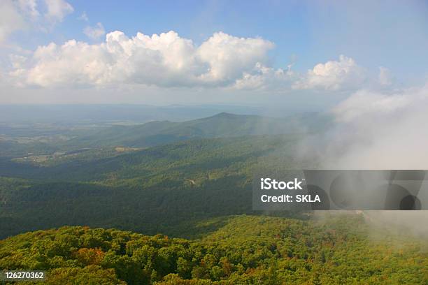 Photo libre de droit de Brouillard À Venir Dans Le Parc National De Shenandoah banque d'images et plus d'images libres de droit de Beauté de la nature