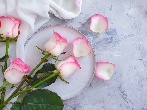 istock plate flower rose on concrete background 1262704685