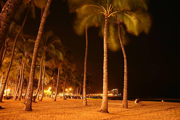 istock Waikiki beach at night (Hawaii, USA) 126270543