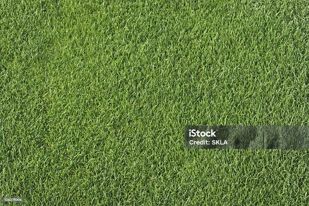 Short Golfe grama como fundo - Royalty-free Abstrato Foto de stock