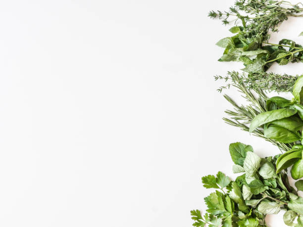 istock Flat-lay of various fresh green kitchen herbs. Parsley, mint, savory, basil, rosemary, thyme on white background, top view. Spring or summer healthy vegan cooking concept 1262722554