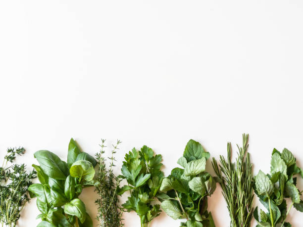 istock Flat-lay of various fresh green kitchen herbs. Parsley, mint, savory, basil, rosemary, thyme on white background, top view. Spring or summer healthy vegan cooking concept 1262722557