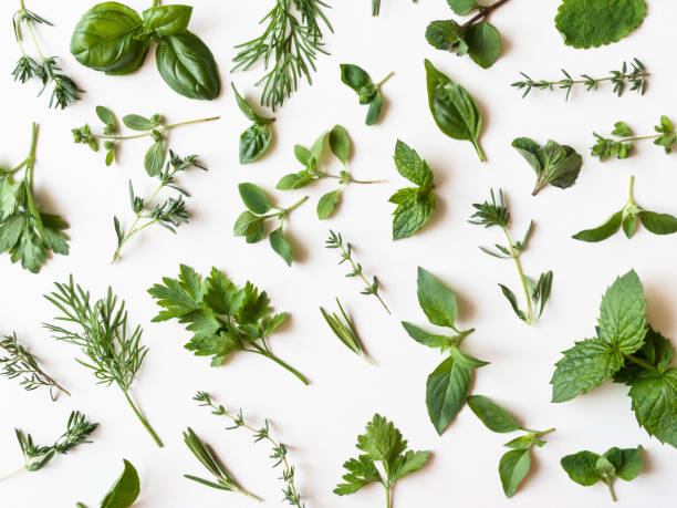 istock Flat-lay of various fresh green kitchen herbs. Parsley, mint, dill, basil, marjoram, thyme on white background, top view. Spring or summer healthy vegan cooking concept. copy space 1262722563