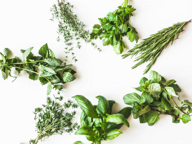 istock Flat-lay of various fresh green kitchen herbs. Parsley, mint, savory, basil, rosemary, thyme over white background, top view. Spring or summer healthy vegan cooking concept 1262722570