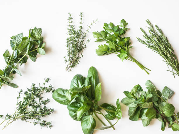 istock Flat-lay of various fresh green kitchen herbs. Parsley, mint, savory, basil, rosemary, thyme over white background, top view. Spring or summer healthy vegan cooking concept 1262722571