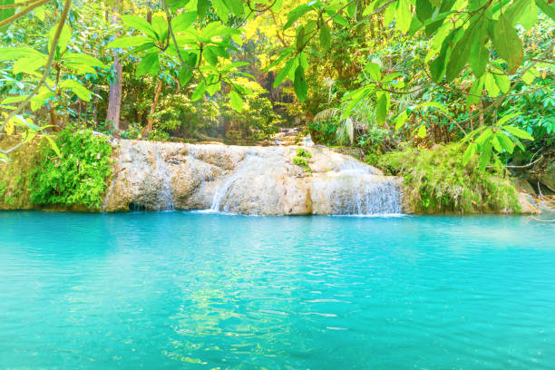 chute d’eau tropicale avec le lac d’émeraude dans la forêt de jungle - erawan national park beauty in nature waterfall photos et images de collection