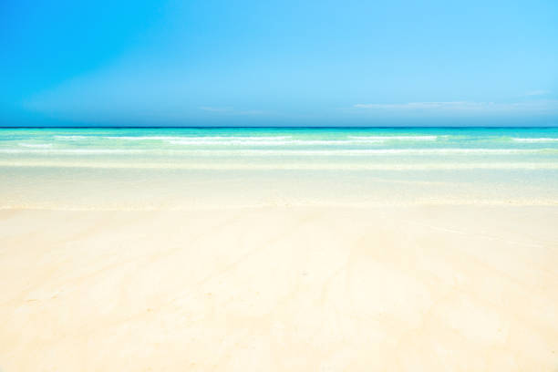 istock White sand beach and clear sea water under blue sky 1262723844