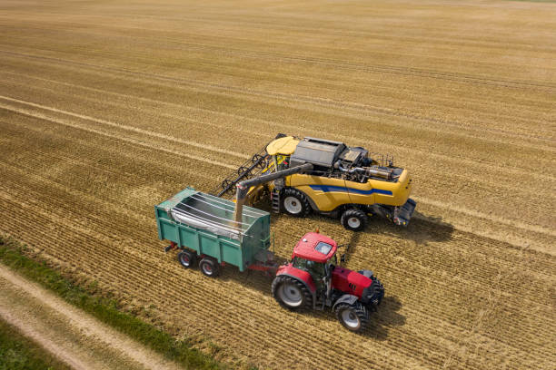 istock Harvest of wheat from above 1262724011