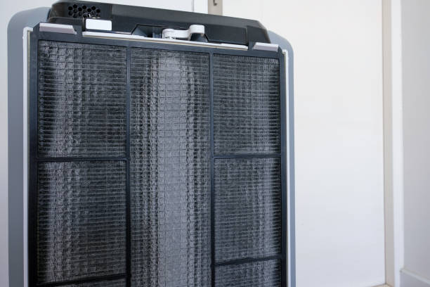istock Air purifier. Maintenance the air filter. Replace and clean the air filter. The filter have a lot of dust. 1262741022