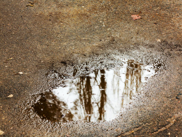 istock Leaves and rain drops on the pavement or asphalt road. It's raining. 1262744327