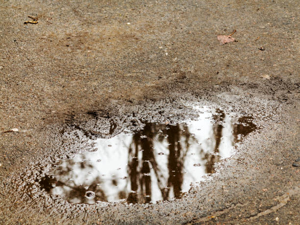 istock Leaves and rain drops on the pavement or asphalt road. It's raining. 1262744329