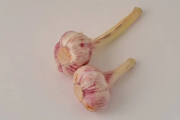 2 fresh garlic cloves on white background