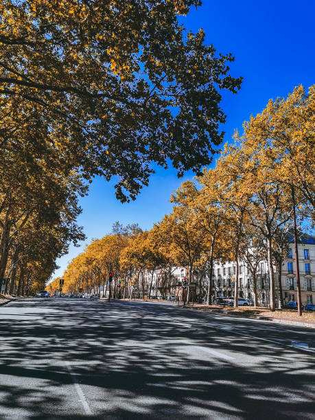 Versailles street in autumn