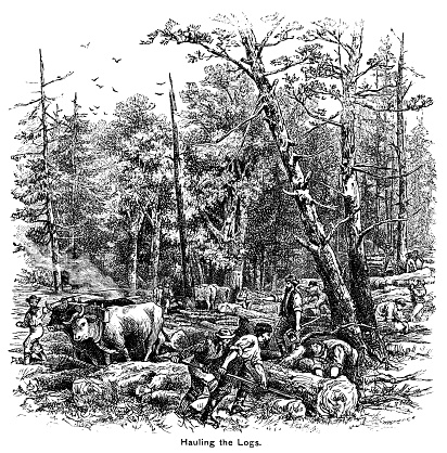 Canadian lumberjacks moving and hauling logs with oxen through a forest. From “The Cottager and Artisan: The People’s Own Paper” published in 1898 by The Religious Tract Society, London.