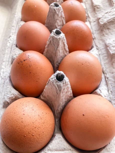 istock natural eggs on a carton box at market 1262748632