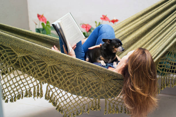 istock Woman reading a book at home, lying in a hammock. 1262757584