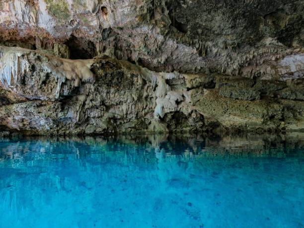 istock The Still Cenote Water 1262761068