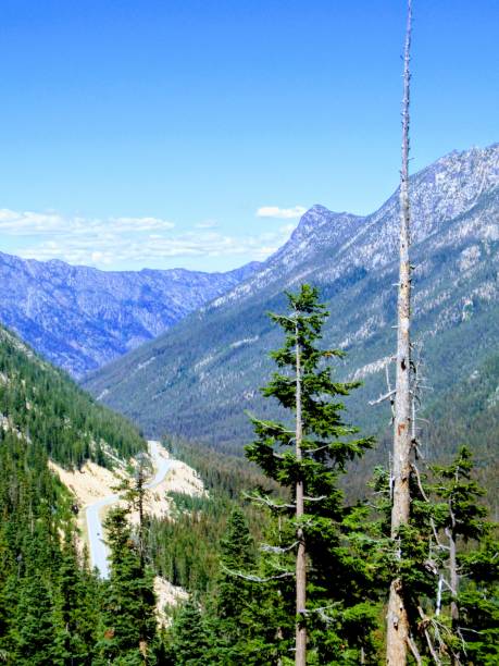 istock The road less traveled 1262761158