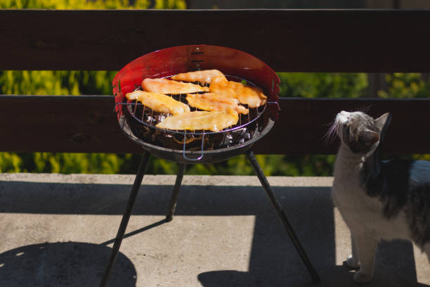 バーベキューで鶏の胸肉 - barbecue grill chicken barbecue chicken breast ストックフォトと画像