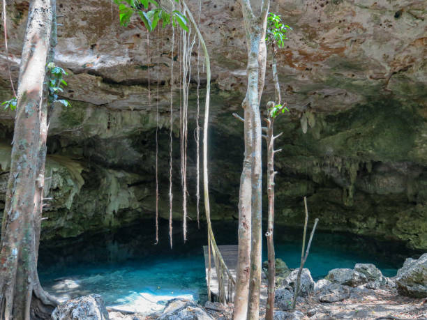 istock The Dream Cenote 1262761551