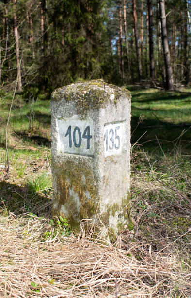 istock Trail sign in the forest on the litter 1262762486