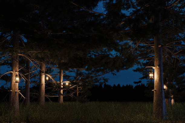 renderização 3d de floresta à noite com lanterna de tempestade de luz suspensa - switzerland forest storm summer - fotografias e filmes do acervo