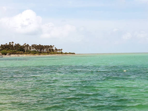 istock Amazing beach island in Sri Lanka 1262765696