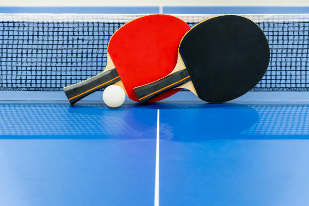 istock Black and red table tennis paddle with a net 1262768821