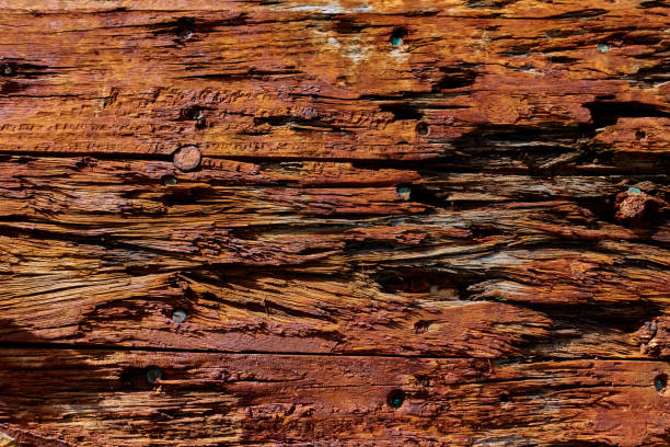 istock Rotting Wooden Ships Hull Texture 1262768963