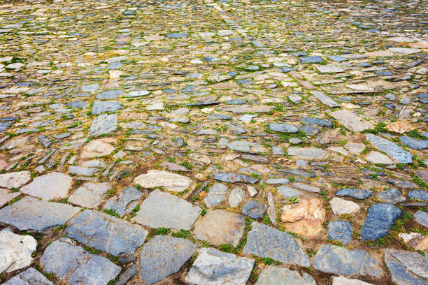 istock Urban stone paving, perspective. Texture, background, selective focus 1262775918