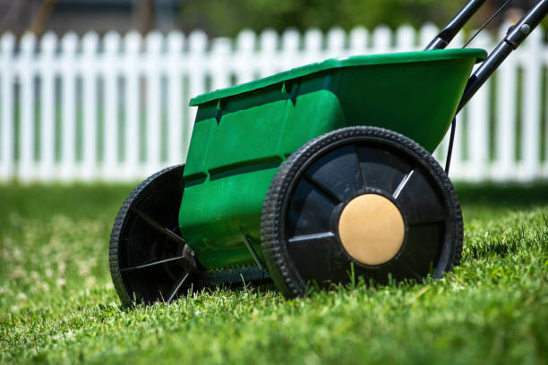 istock Close-up lawn and garden seed and herbicide drop spreader 1262781604
