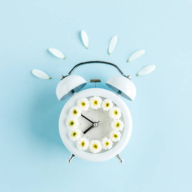 istock Composition-summer time from clock and chamomile flowers on blue background. Flat lay, top view 1262784062