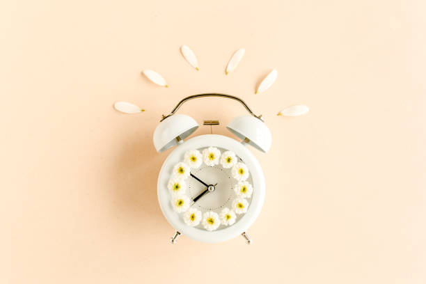 istock Composition-summer time from clock and chamomile flowers on beige background. Flat lay, top view 1262784713
