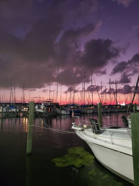 istock Sailboats at sunset 1262789424