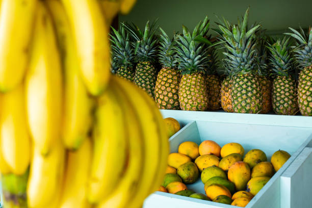 Blurred branch of fresh bright yellow bananas