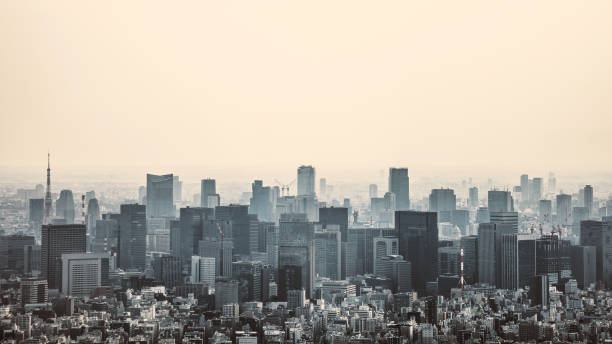 istock Big city view - Tokyo, Japan 1262790852