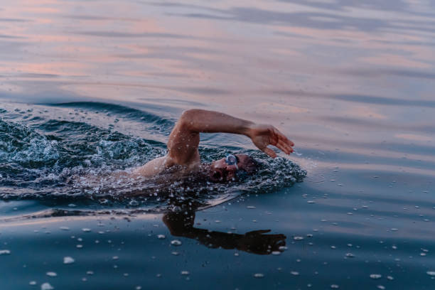 istock Morning Routine Swimming in the Sea 1262791734