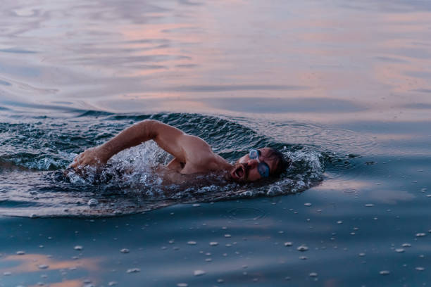 istock Morning Routine Swimming in the Sea 1262791746