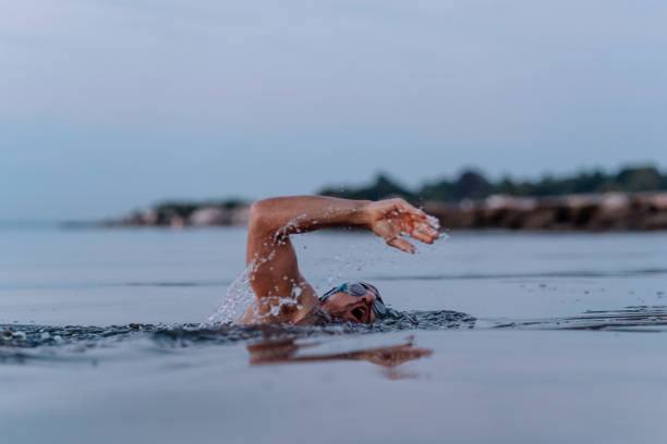 istock Morning Routine Swimming in the Sea 1262791758