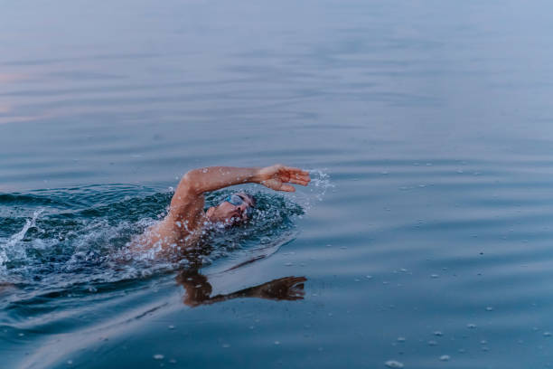 istock Morning Routine Swimming in the Sea 1262791775