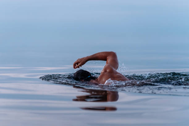 istock Morning Routine Swimming in the Sea 1262791783