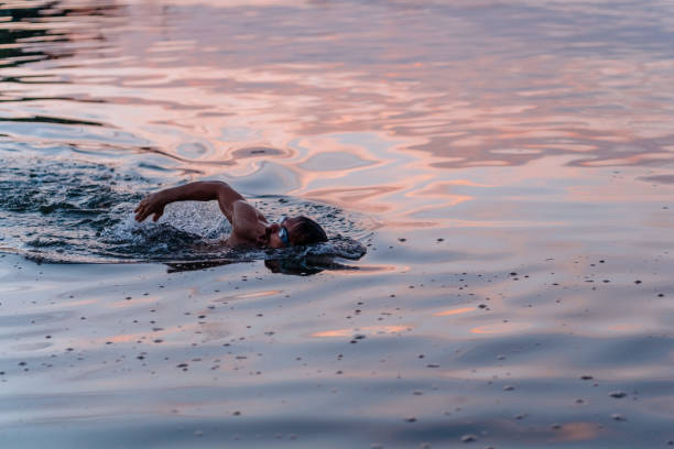 istock Morning Routine Swimming in the Sea 1262791790