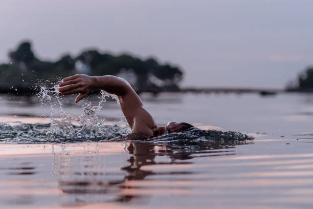 istock Morning Routine Swimming in the Sea 1262791796