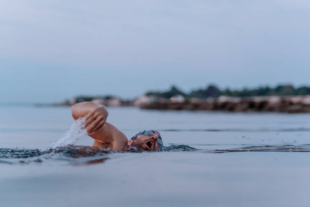 istock Morning Routine Swimming in the Sea 1262791798