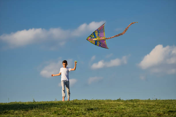 istock Happy boy flying his kite 1262793647