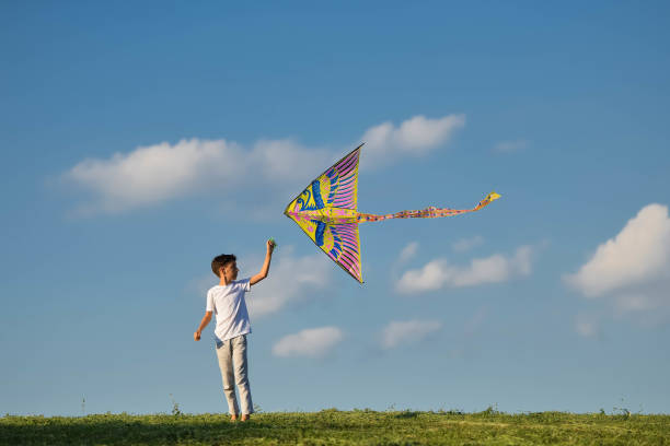 istock Happy boy flying his kite 1262793649