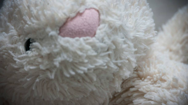istock Details of white stuffed rabbit 1262801629