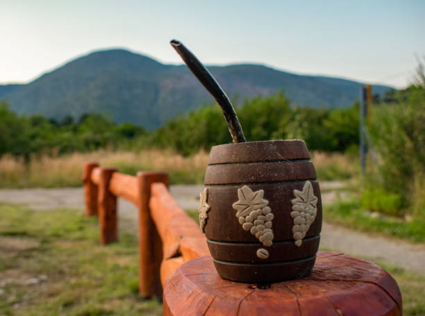 istock Mate over the fence with mountains behind 1262810373